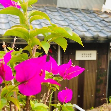 Guesthouse Nichinan - Vacation Stay 82905V Екстериор снимка